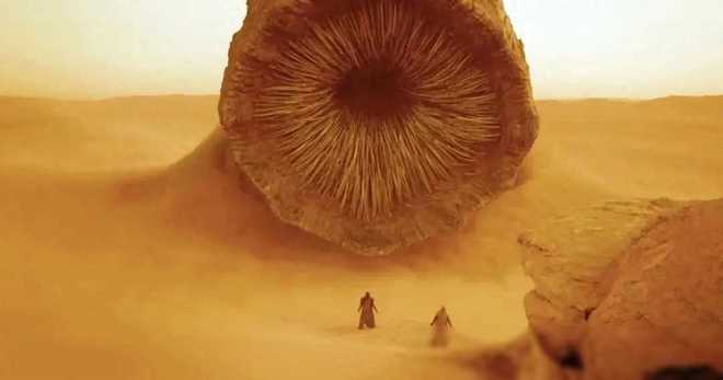 《沙丘熱潮：痛苦的根源源于对人性的深刻理解与洞察